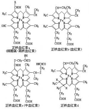 细胞色素