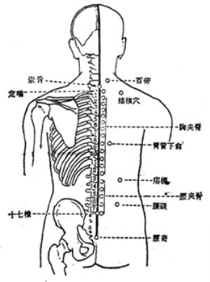 其于区,第一至第五腰椎棘突下两侧,后正中线旁开0.5寸,一侧17穴. 4.