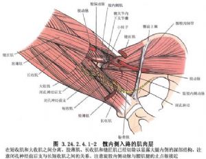 内收肌切断及闭孔神经肌支切断术