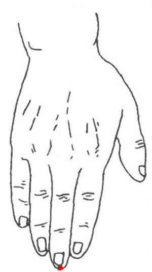 十二井穴