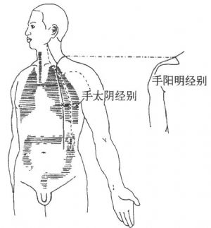 第六合:手阳明,手太阴经别