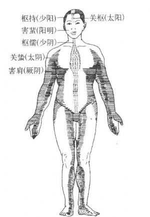 六经皮部各有专名:太阳皮部称关枢,阳明皮部称害蜚,少阳皮部称枢持