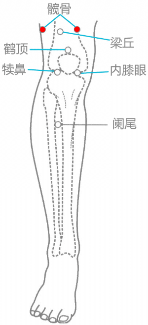 体骨