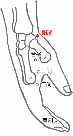 阳溪