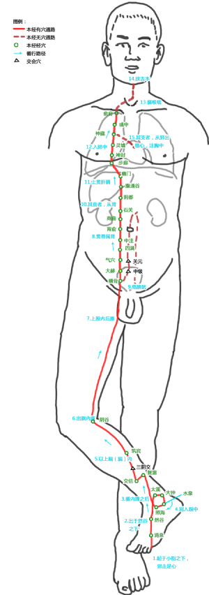 大赫_大赫穴的位置,功效与作用,主治,刺灸法_医学百科