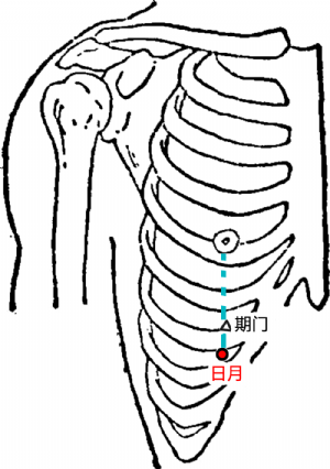 日月穴在季胁部的位置
