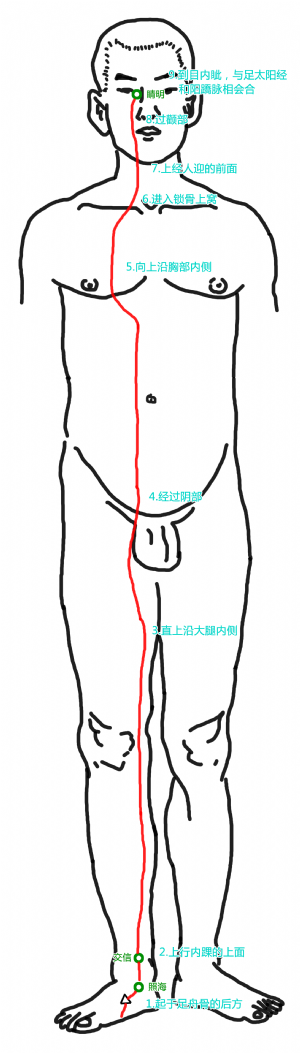 阴蹻脉