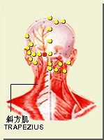 玉枕穴位于后头部,当枕外粗隆上缘外侧,脑户穴旁开1.3寸Ζ [2].