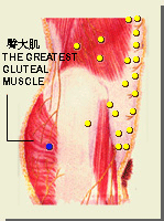 镮铫_镮铫穴的位置,功效与作用,主治,刺灸法_医学百科