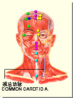 头临泣