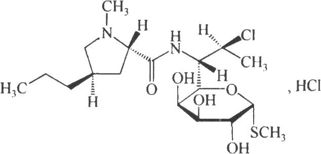 盐酸克林霉素 2014年12月17日修订版