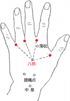 经外奇穴八邪的位置