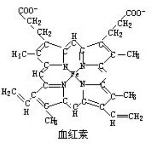 血色素 医学百科