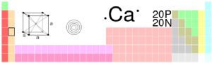 钙在元素周期表中的位置