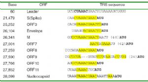 SARS 冠状病毒转录调控序列位置及序列列表