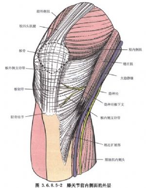 股骨外髁垫高术_手术,关节脱位及关节损伤手术,髌骨脱位和半脱位的