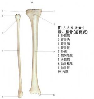 脛骨骨折鋼板螺絲釘內固定術 手術 醫學百科