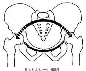 5.12.2.1-0-1);坐位时重力线经骶髂关节至两侧坐骨结节为骶坐弓(图3.