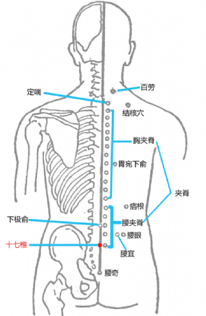 经外奇穴——十七椎的位置