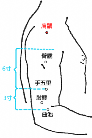 肩髃 肩髃穴的位置 功效与作用 主治 刺灸法 医学百科
