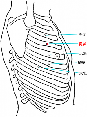 胸鄉穴的位置.png