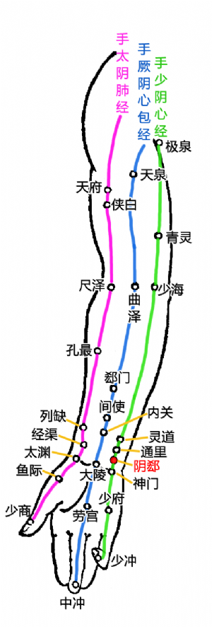 少阴郄_少阴郄穴的位置,功效与作用,主治,刺灸法_医学百科