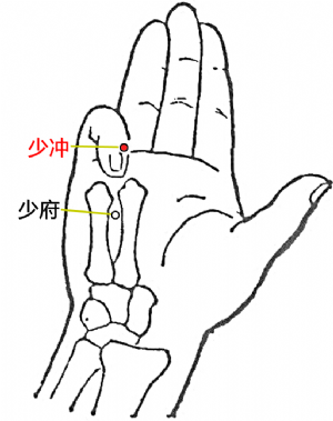 少冲穴的位置.png