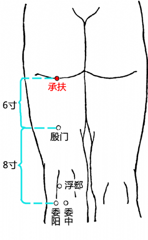 承扶穴在足太阳膀胱经中的位置承扶穴位于股后区,臀沟的中点,俯卧取之