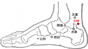 标准定位:大钟穴在足内侧,内踝后下方,当跟腱附着部的内侧前方凹陷中
