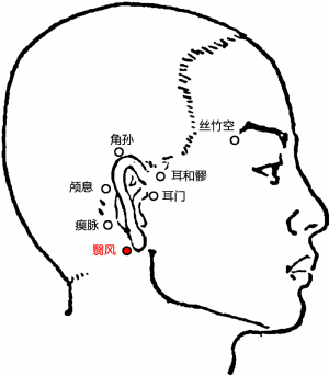 耳后的准确位置图片图片