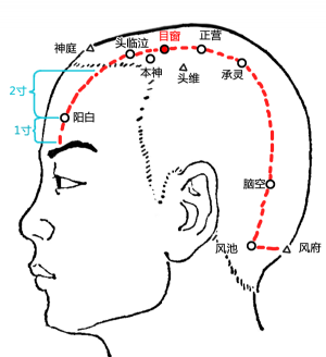 至营_至营穴的位置,功效与作用,主治,刺灸法_医学百科
