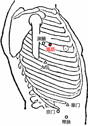 腋下两侧经络图 部位图片