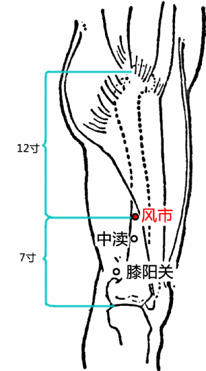 风市_风市穴的位置,功效与作用,主治,刺灸法_医学百科