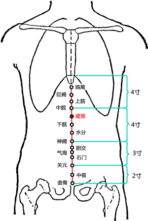 建里穴在任脉的位置建里穴位于腹正中线,脐上3寸[6].