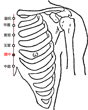 膻中_膻中穴的位置、功效与作用、主治、刺灸法_医学百科