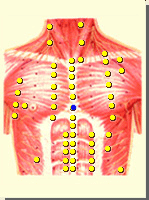 膻中_膻中穴的位置、功效与作用、主治、刺灸法_医学百科