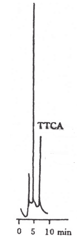 TTCA接觸者尿樣色譜圖